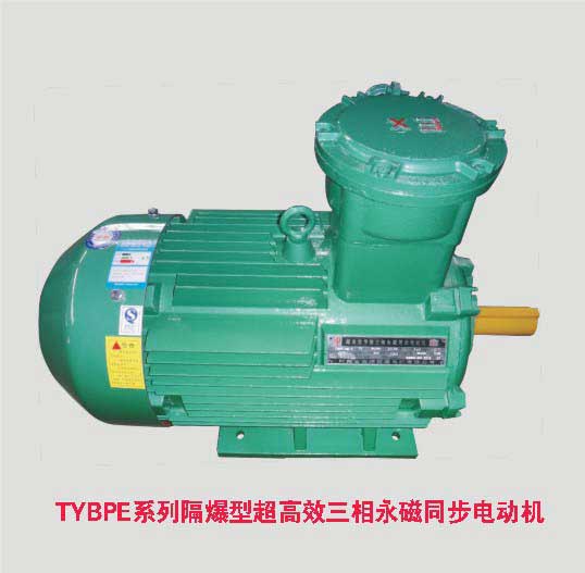 TYBPE永磁同步電動機(jī)